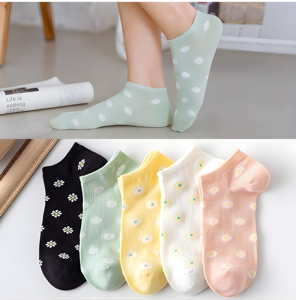 Soft Lily Collection – 5-Pack Women’s Ankle Cotton Socks – Size 36-41
